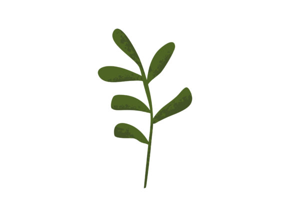 Download Leaves Decorative Elements Illustration - Decor Collection